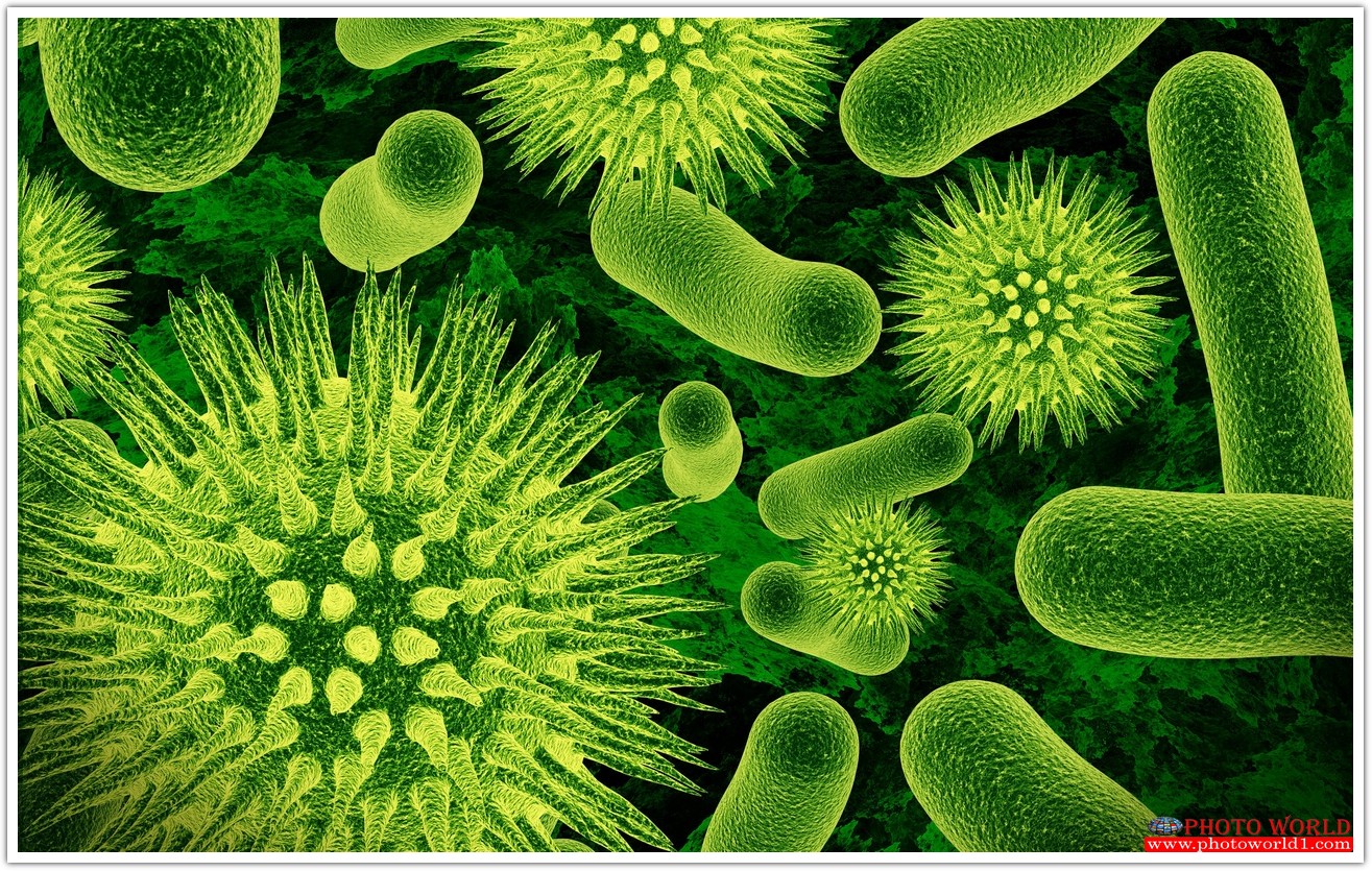 วอลเปเปอร์รูปภาพติดผนังสั่งทำ TEXTURES (PHOTO STOCK) มีภาพให้เลือกกว่า 50,000 ภาพ ออกแบบกราฟฟิค หรือ รูปภาพตามที่ท่านกำหนด ในสไตล์ท่านเอง "custom made"