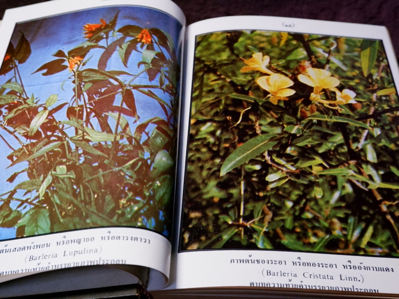 หลักการใช้ยาสมุนไพรรักษาโรคต่างๆ โดย พ.ต.อ.ชลอ อุทกภาชน์ เล่ม 1 เเละ 2 (Pre-Order สอบถาม)