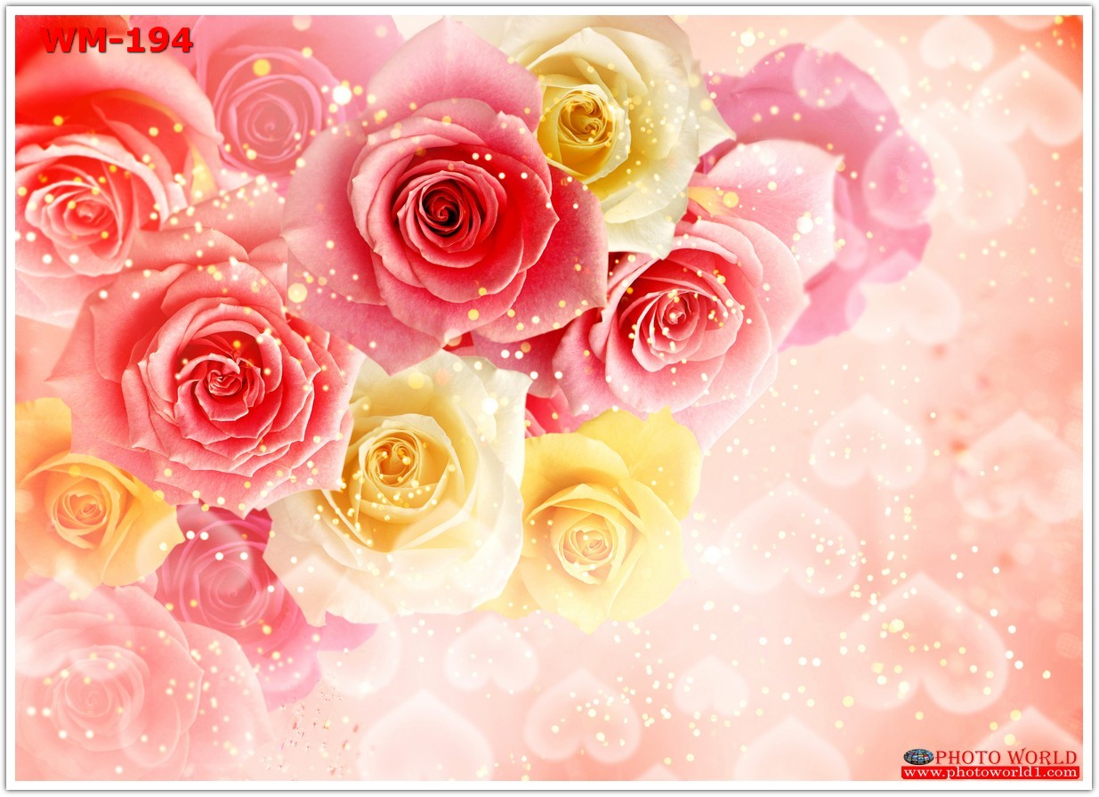 วอลเปเปอร์รูปภาพติดผนังสั่งทำ มีภาพให้เลือกกว่า 50,000 ภาพ ออกแบบกราฟฟิค หรือ รูปภาพตามที่ท่านกำหนด ในสไตล์ท่านเอง "custom made"