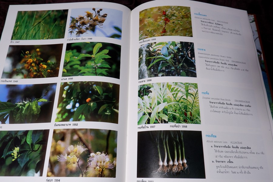 สารานุกรมเครื่องยาไทย 1 โดย วุฒิ วุฒิธรรมเวช ปกแข็ง ปี 2543