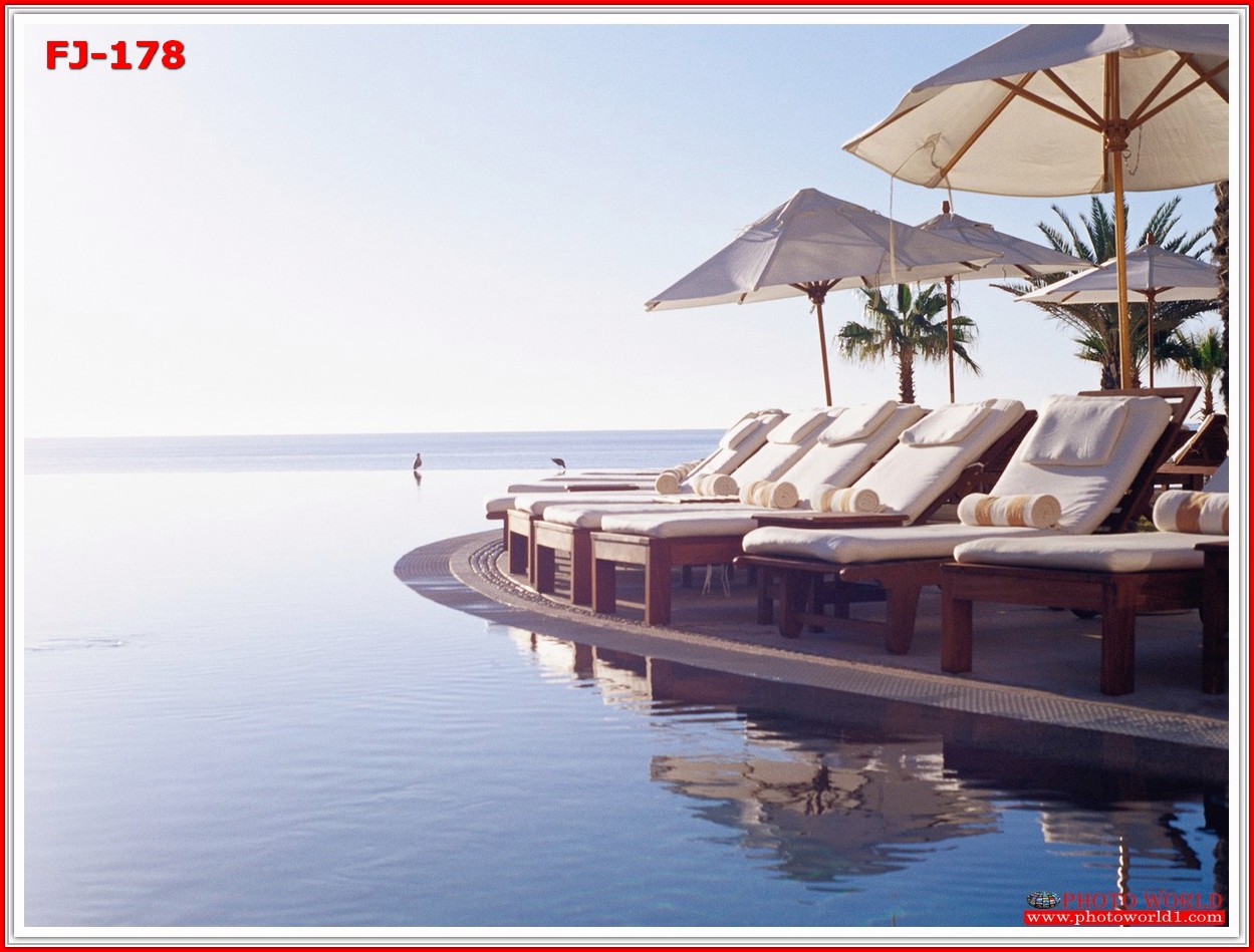 วอลเปเปอร์รูปภาพติดผนังสั่งทำ มีภาพให้เลือกกว่า 50,000 ภาพ ออกแบบกราฟฟิค หรือ รูปภาพตามที่ท่านกำหนด ในสไตล์ท่านเอง "custom made"