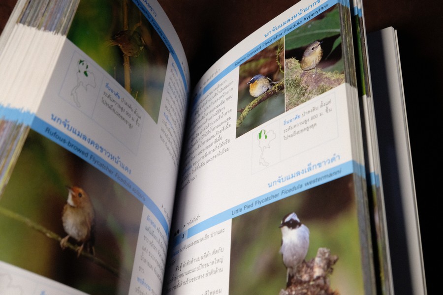 Thailand Bird Guide โดย ร่งโรจน์ จุกมงคล ปี 2549