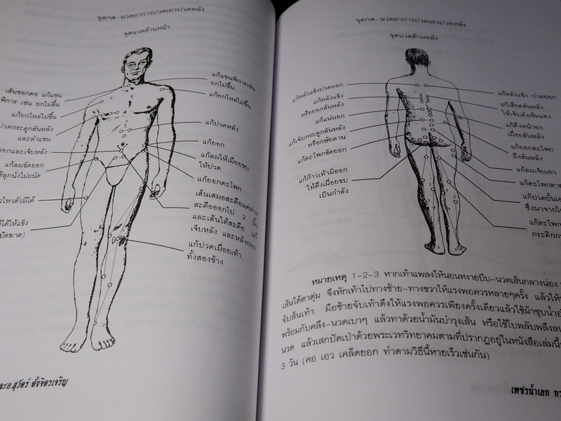 เพชรน้ำเอก กรุยอดตำรับยาสมุนไพร หลักการรักษาโรคตามแบบแผนพื้นบ้าน ครบทุกรูปแบบ ทุกแขนง