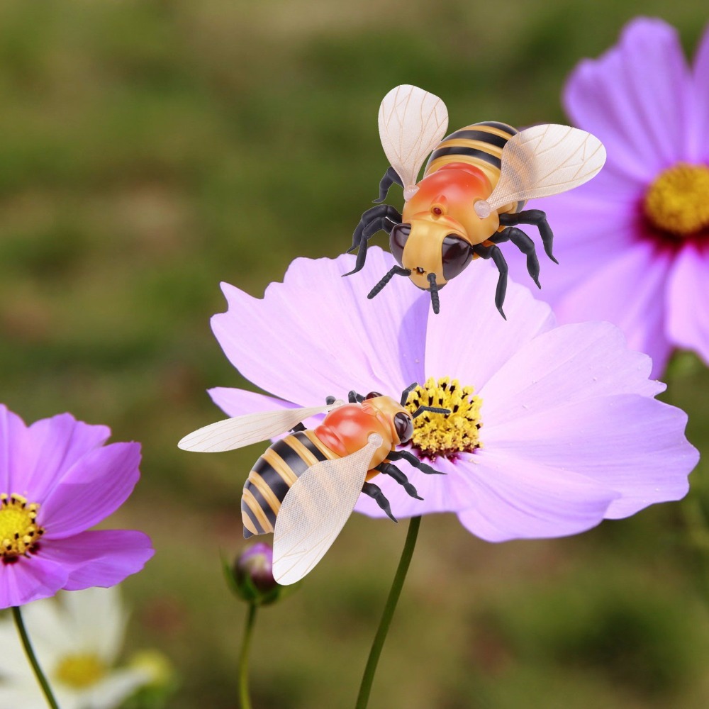 ผึ้งบังคับ (Honey Bee)