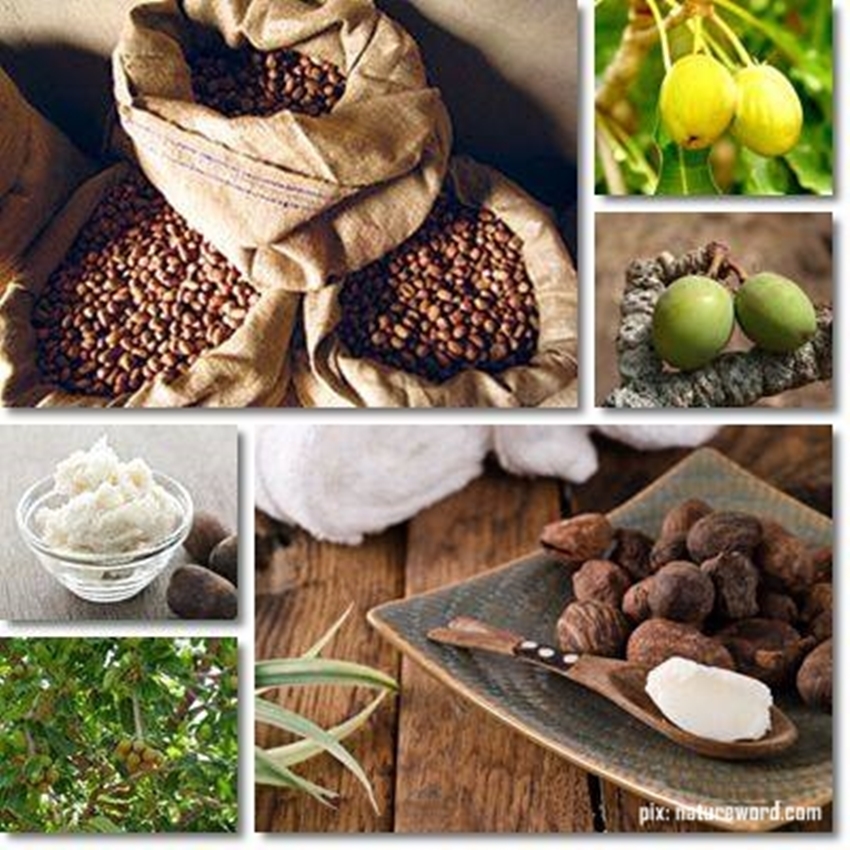 [ลิปบาล์ม อายครีม ลบผิวแตกลาย ฯลฯ] Prana Shop Organic Shea Butter ออร์แกนิค เชียบัตเตอร์ 60g.