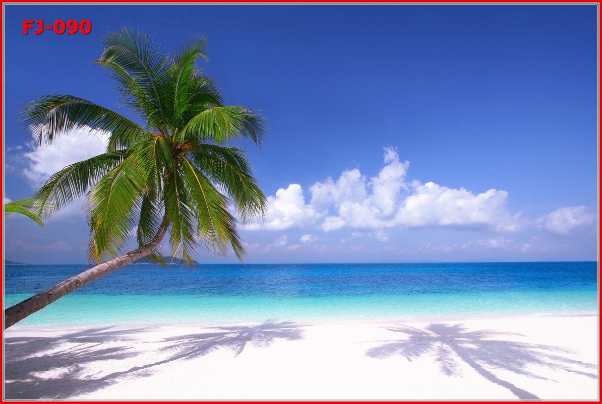 วอลเปเปอร์รูปภาพติดผนังสั่งทำ มีภาพให้เลือกกว่า 50,000 ภาพ ออกแบบกราฟฟิค หรือ รูปภาพตามที่ท่านกำหนด ในสไตล์ท่านเอง "custom made"