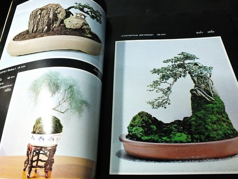 บอนไซ 01 02 03 รวม 3 เล่ม โดยชมรมบอนไซ(ไม้เเคระ) เเห่งประเทศไทย //สอบถาม//