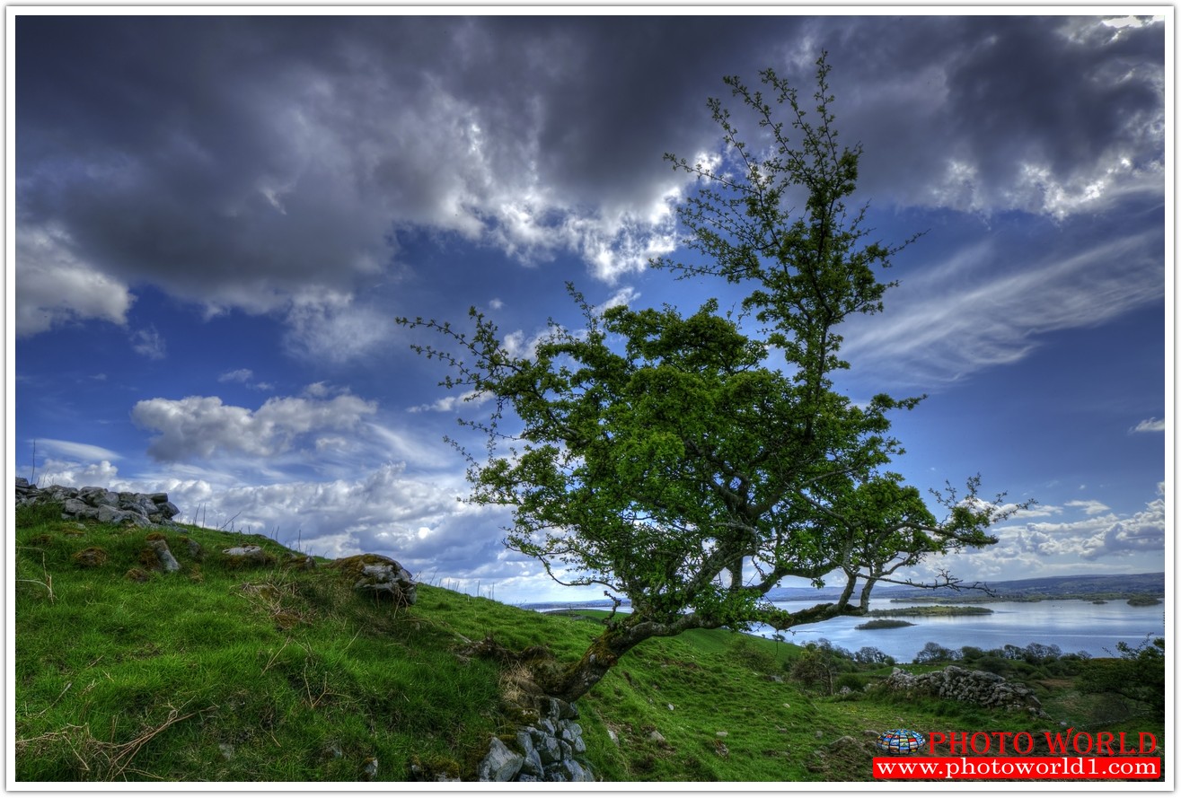 NATURAL วอลเปเปอร์รูปภาพติดผนังสั่งทำ มีภาพให้เลือกกว่า 50,000 ภาพ ออกแบบกราฟฟิค หรือ รูปภาพตามที่ท่านกำหนด ในสไตล์ท่านเอง "custom made"