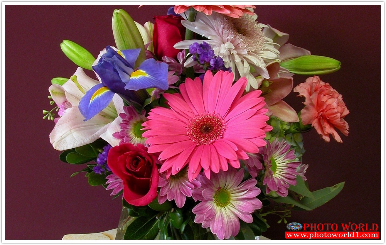 วอลเปเปอร์รูปภาพติดผนังสั่งทำ มีภาพให้เลือกกว่า 50,000 ภาพ ออกแบบกราฟฟิค หรือ รูปภาพตามที่ท่านกำหนด ในสไตล์ท่านเอง "custom made"