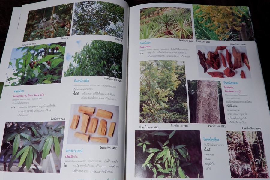 สารานุกรมเครื่องยาไทย 1 โดย วุฒิ วุฒิธรรมเวช ปกแข็ง ปี 2543