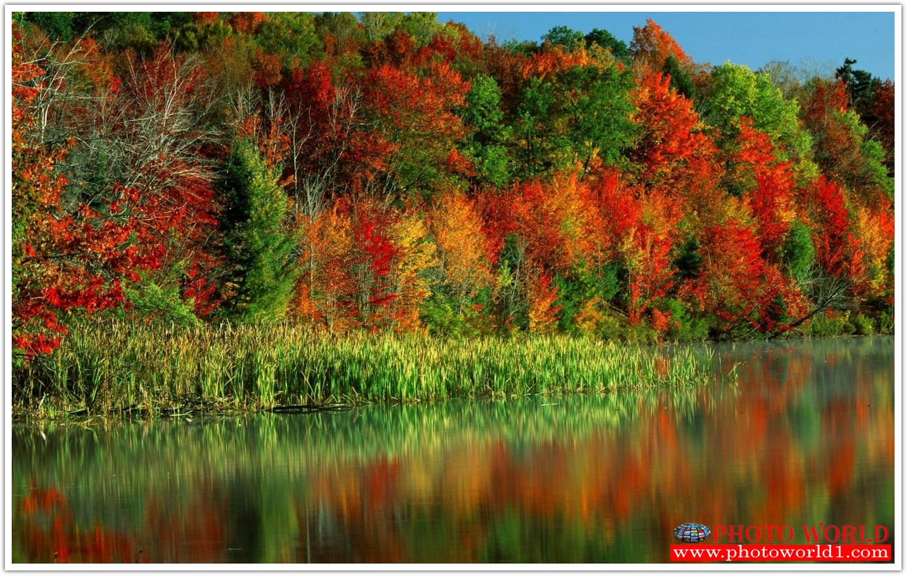 NATURAL วอลเปเปอร์รูปภาพติดผนังสั่งทำ มีภาพให้เลือกกว่า 50,000 ภาพ ออกแบบกราฟฟิค หรือ รูปภาพตามที่ท่านกำหนด ในสไตล์ท่านเอง "custom made"