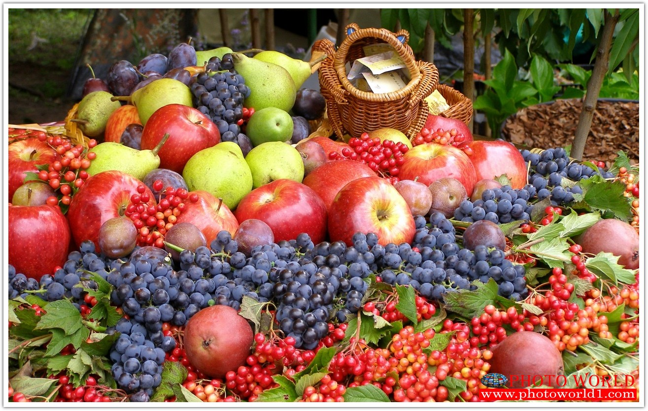 วอลเปเปอร์รูปภาพติดผนังสั่งทำ มีภาพให้เลือกกว่า 50,000 ภาพ ออกแบบกราฟฟิค หรือ รูปภาพตามที่ท่านกำหนด ในสไตล์ท่านเอง "custom made"