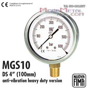 Nuovafima Pressure Gauge DS100-150(4"- 6")