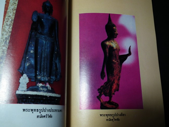 ปฏิมากรรมพระพุทธรูป โดย พอ.ฉลอง ปรีดาบุญ หนา 118 หน้า