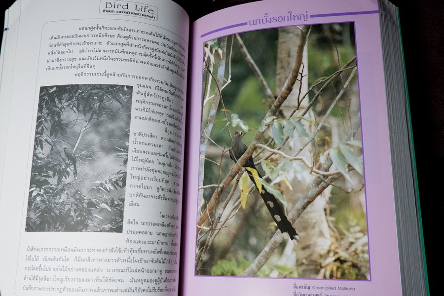 ชีวิตนก จากบันทึก เเละความทรงจำ เล่ม 1 โดย สุธี ศุภรัฐวิกร