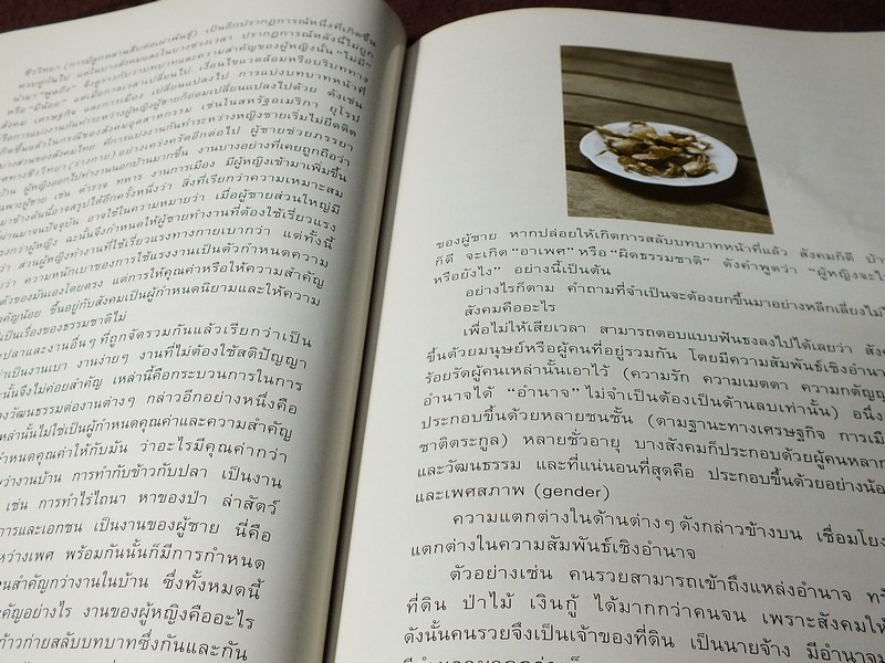 น้ำพริกล้านนา โดย ฉลาดชาย รมิตานนท์ หนา 113 หน้า ปี 2545