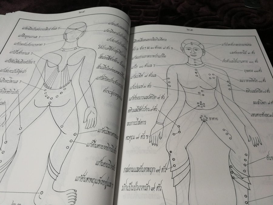 พระบรมครูแพทย์ ชีวกโกมารภัจจ์ (สมุนไพรกับแพทย์แผนโบราณ และการนวด) ปกแข็ง ปี 2545