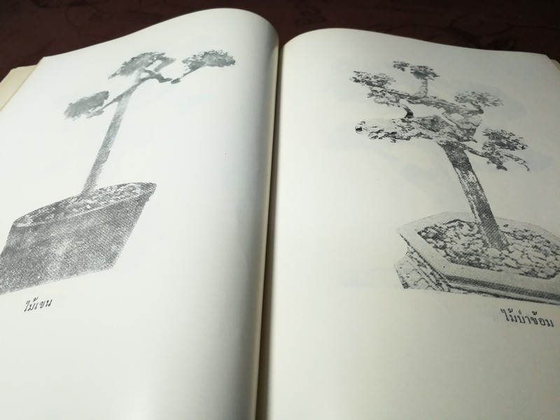 ตำราไม้ดัด เเละ ก่อเขามอ (อนุสรณ์ พระยาปริมาณสินสมรรถ จีบ โชติศาลิกร) ((สอบถาม))