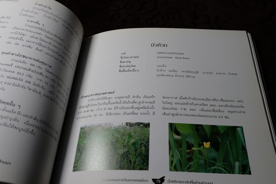 วัฒนธรรมการกินของคนพื้นเมือง น้ำพริกเเละผักพื้นบ้านล้านนา พิมพ์ปี 2543