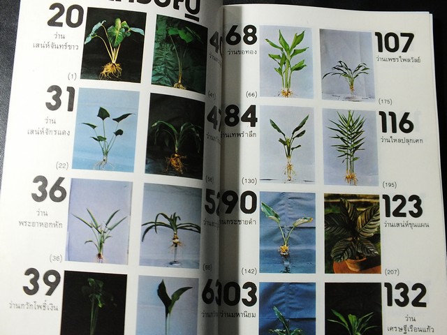 คู่มือดูว่าน ของ สมาคมว่านเเห่งประเทศไทย