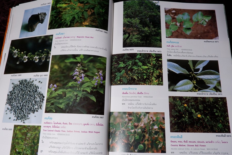 สารานุกรมเครื่องยาไทย 1 โดย วุฒิ วุฒิธรรมเวช ปกแข็ง ปี 2543