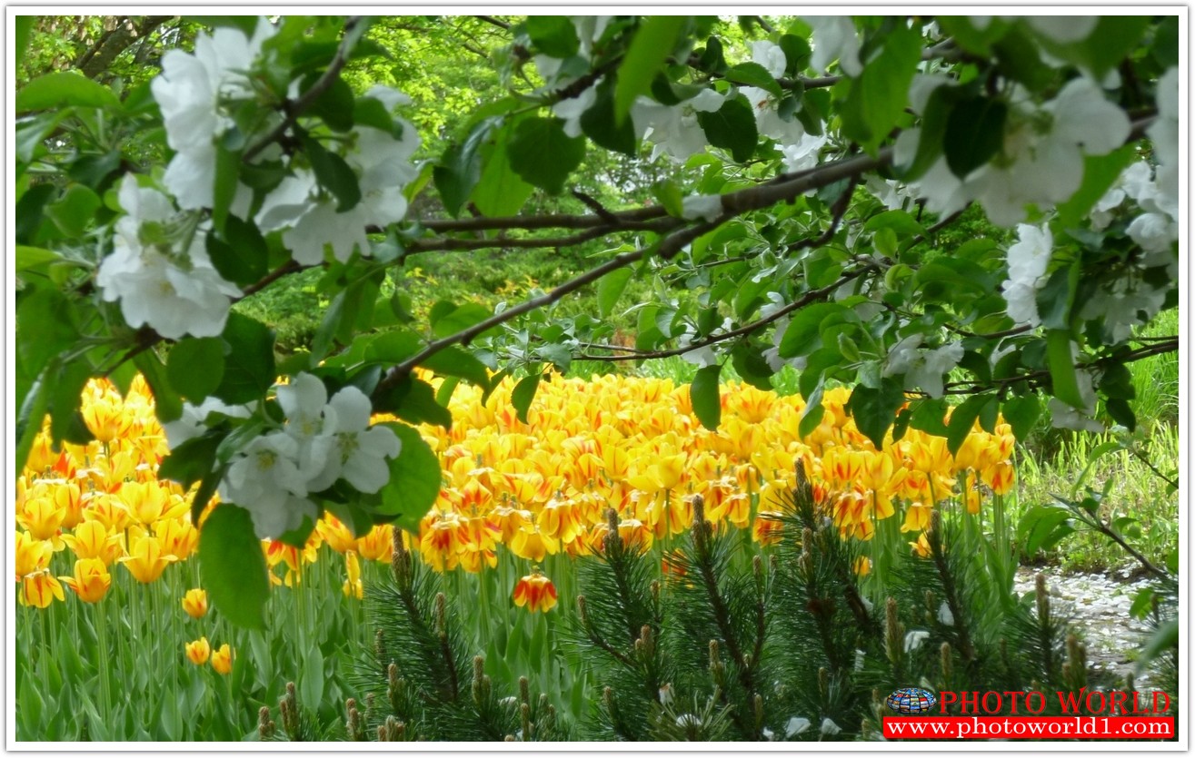 NATURAL วอลเปเปอร์รูปภาพติดผนังสั่งทำ มีภาพให้เลือกกว่า 50,000 ภาพ ออกแบบกราฟฟิค หรือ รูปภาพตามที่ท่านกำหนด ในสไตล์ท่านเอง "custom made"