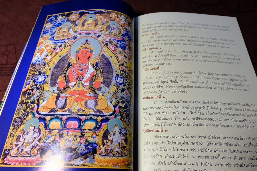 พระไภษัชยคุรุไวฑูรยประภาตถาคต พระพุทธเจ้าบรมครูเเห่งการเเพทย์ ปี 2558