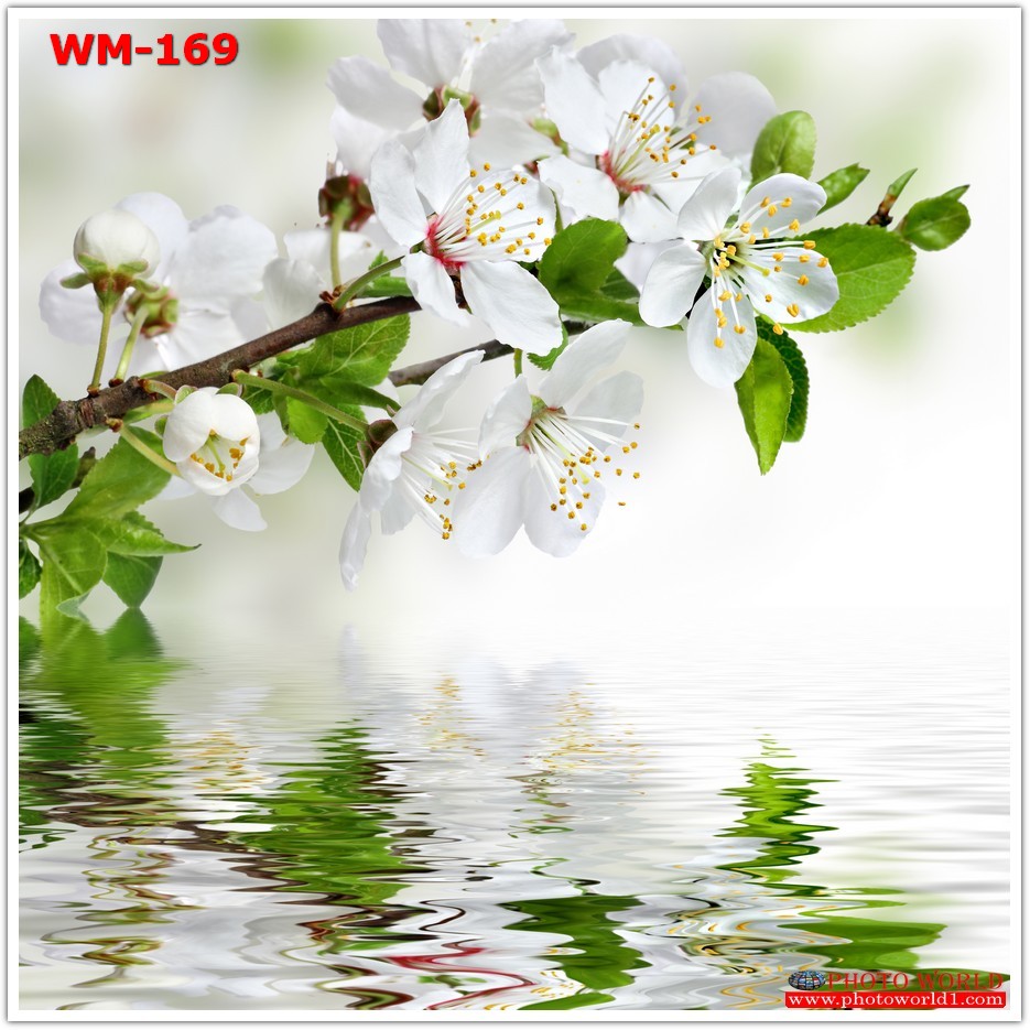 วอลเปเปอร์รูปภาพติดผนังสั่งทำ มีภาพให้เลือกกว่า 50,000 ภาพ ออกแบบกราฟฟิค หรือ รูปภาพตามที่ท่านกำหนด ในสไตล์ท่านเอง "custom made"