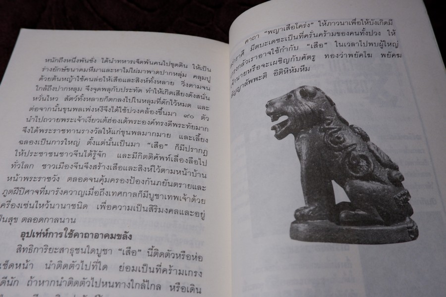 เปิดกรุวัตถุอาถรรณ์ โดย เสมา ท่าพระ หนา 253 หน้า