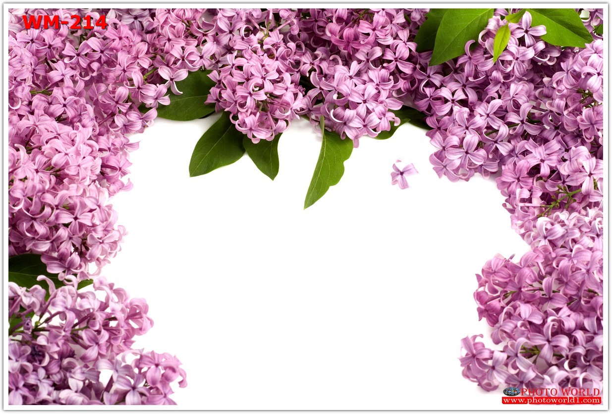 วอลเปเปอร์รูปภาพติดผนังสั่งทำ มีภาพให้เลือกกว่า 50,000 ภาพ ออกแบบกราฟฟิค หรือ รูปภาพตามที่ท่านกำหนด ในสไตล์ท่านเอง "custom made"