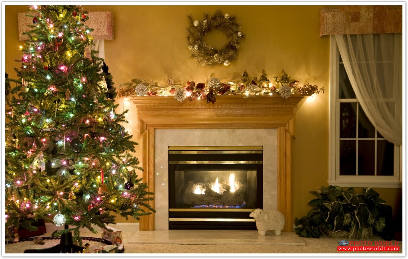 วอลเปเปอร์รูปภาพติดผนังสั่งทำ มีภาพให้เลือกกว่า 50,000 ภาพ ออกแบบกราฟฟิค หรือ รูปภาพตามที่ท่านกำหนด ในสไตล์ท่านเอง "custom made"