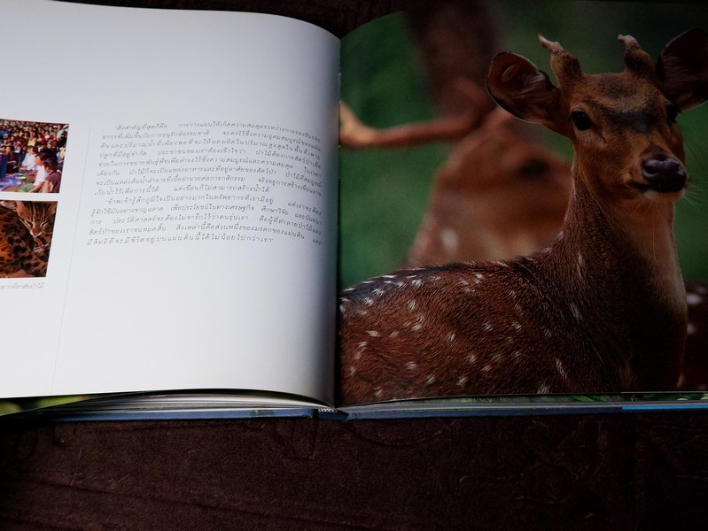 สมเด็จพระนางเจ้าสิริกิติ์ พระบรมราชินีนาถกับสิ่งเเวดล้อม