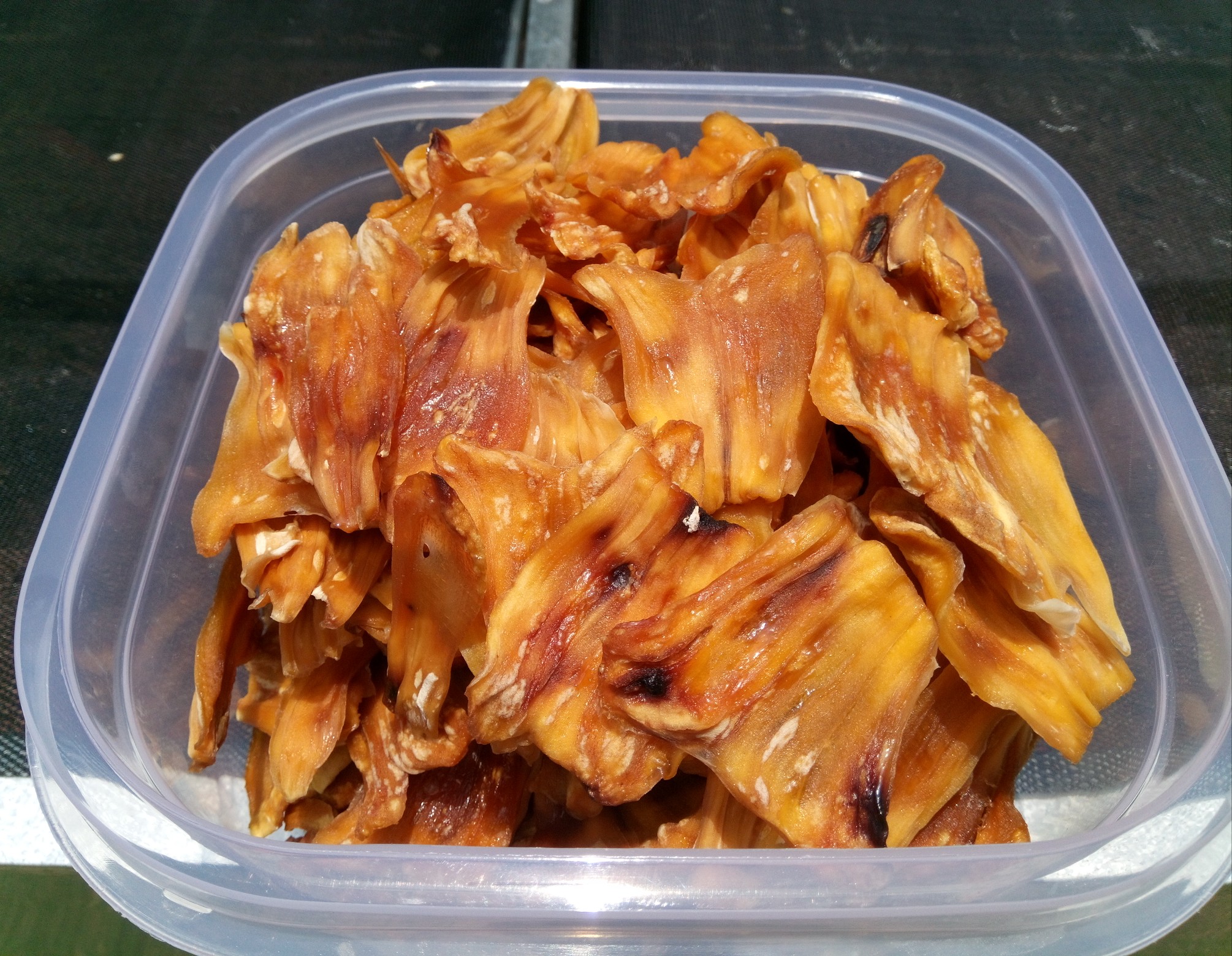 ตู้อบแห้งพลังงานแสงอาทิตย์ (Green house Solar dryer)