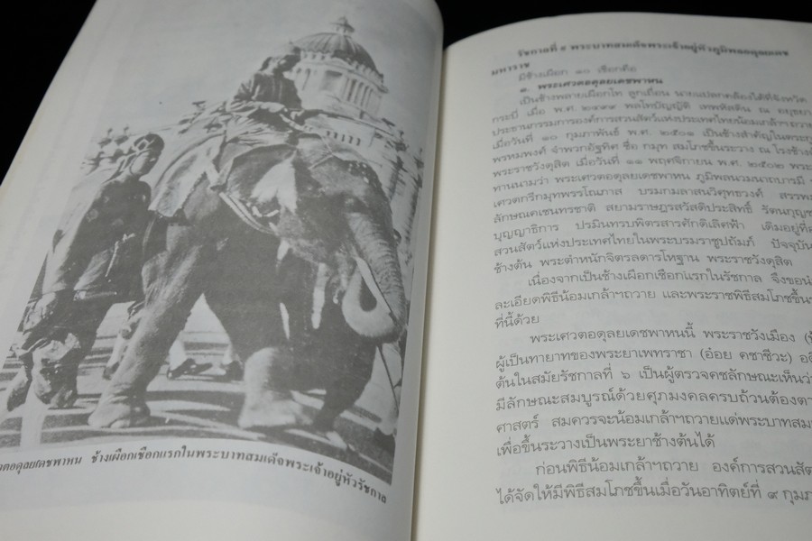 ช้างไทย โดย สุทธิลักษณ์ อำพันวงศ์ หนา 400 หน้า ปี 2537 (มีตำหนิ)