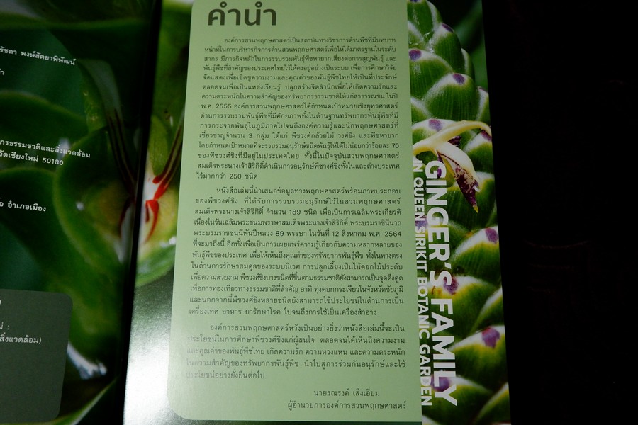 พืชวงศ์ขิง ในสวนพฤกษศาตร์สมเด็จพระนางเจ้าสิริกิติ์ ปกเเข็ง 436 หน้า