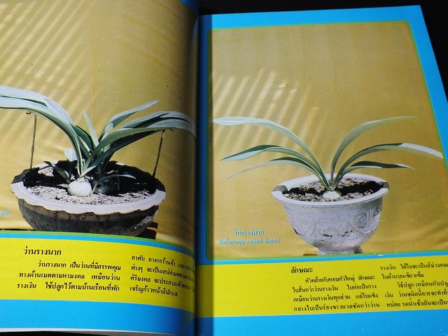 สารานุกรมว่านไทย ฉบับสมบูรณ์ โดย ทัศนา ทัศนมิตร-ดำรงศักดิ์ นาคนิยม (สอบถาม)