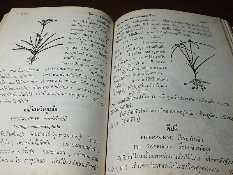 ไม้เทศเมืองไทย สรรพคุณยาเทศเเละยาไทย โดย หมอเสงี่ยม พงษ์บุญรอด ปกแข็ง 652 หน้า ปี 2522
