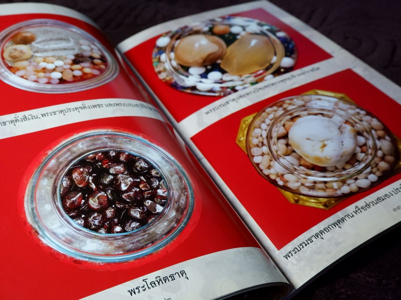 พระธาตุเสด็จ ปาฏิหารย์ที่เกิดจากการปฏิบัติ ปี 2551