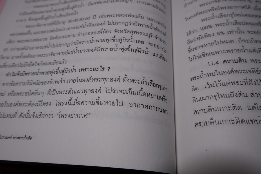 ศาสตร์เเละศิลป์ โบราณคดี ของ พระถ้ำเสือ โดย มนัส โอภากุล