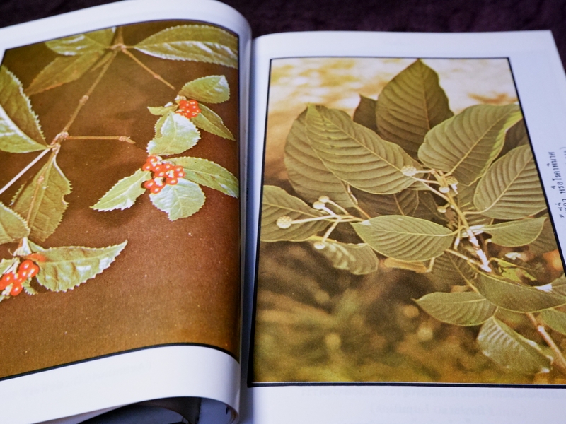 หลักการใช้ยาสมุนไพรรักษาโรคต่างๆ โดย พ.ต.อ.ชลอ อุทกภาชน์ เล่ม 1 เเละ 2 (Pre-Order สอบถาม)