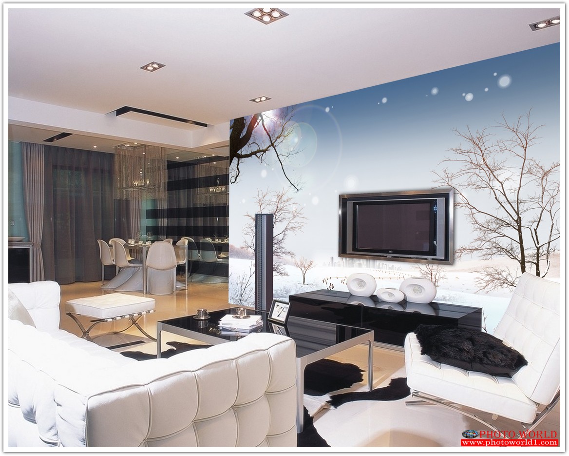 วอลเปเปอร์รูปภาพติดผนังสั่งทำ มีภาพให้เลือกกว่า 50,000 ภาพ ออกแบบกราฟฟิค หรือ รูปภาพตามที่ท่านกำหนด ในสไตล์ท่านเอง "custom made"