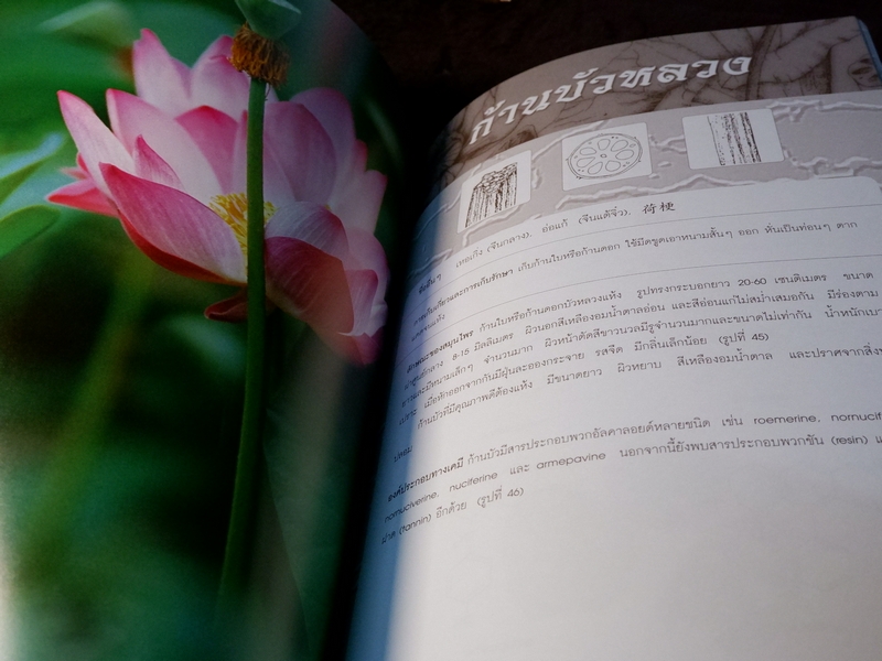 สมุนไพรไทย-จีน โดย กรมวิทยาศาสตร์การเเพทย์ กระทรวงสาธารณสุข