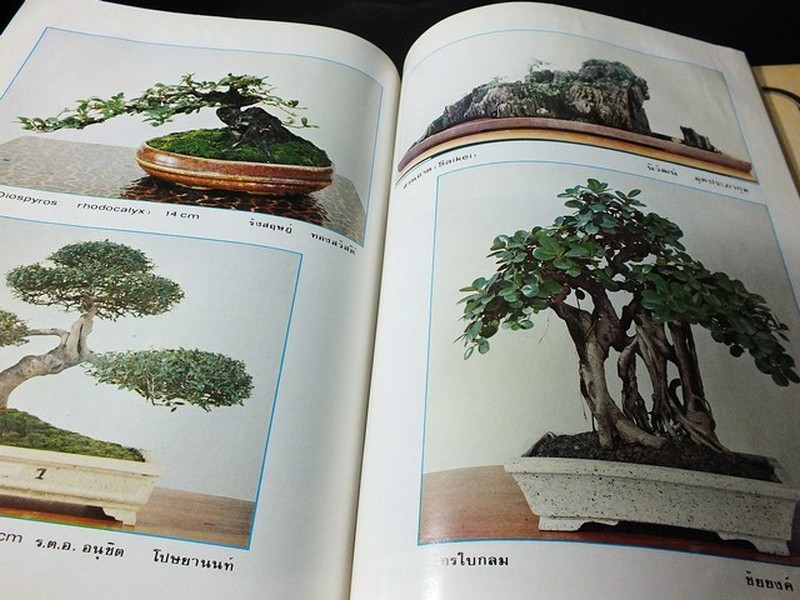 บอนไซ 01 02 03 รวม 3 เล่ม โดยชมรมบอนไซ(ไม้เเคระ) เเห่งประเทศไทย //สอบถาม//