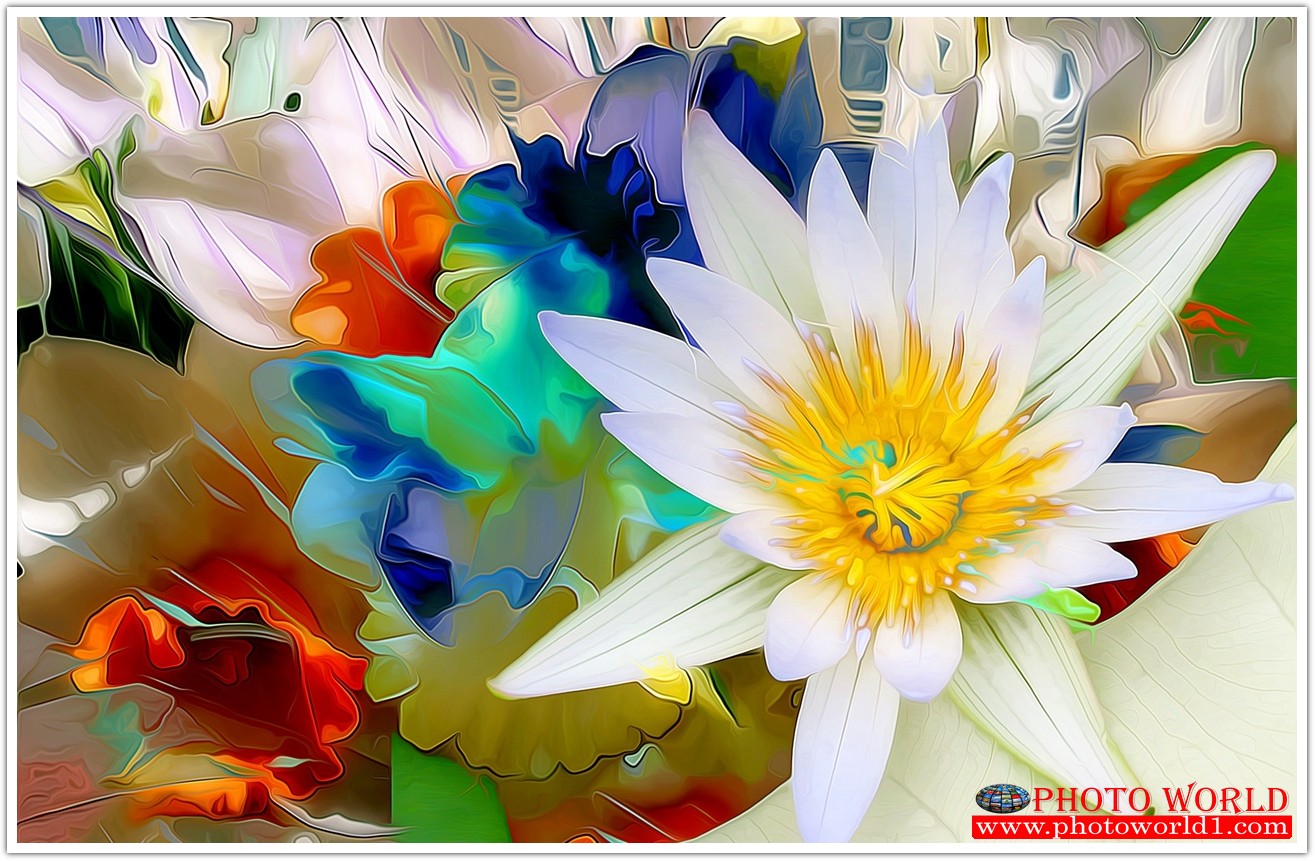 วอลเปเปอร์รูปภาพติดผนังสั่งทำ มีภาพให้เลือกกว่า 50,000 ภาพ ออกแบบกราฟฟิค หรือ รูปภาพตามที่ท่านกำหนด ในสไตล์ท่านเอง "custom made"