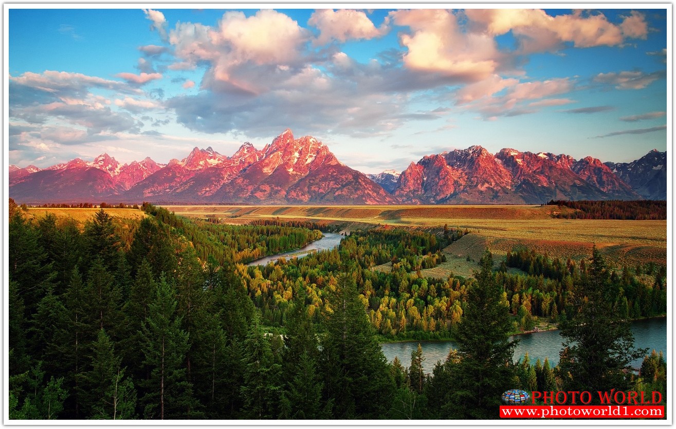 NATURAL วอลเปเปอร์รูปภาพติดผนังสั่งทำ มีภาพให้เลือกกว่า 50,000 ภาพ ออกแบบกราฟฟิค หรือ รูปภาพตามที่ท่านกำหนด ในสไตล์ท่านเอง "custom made"