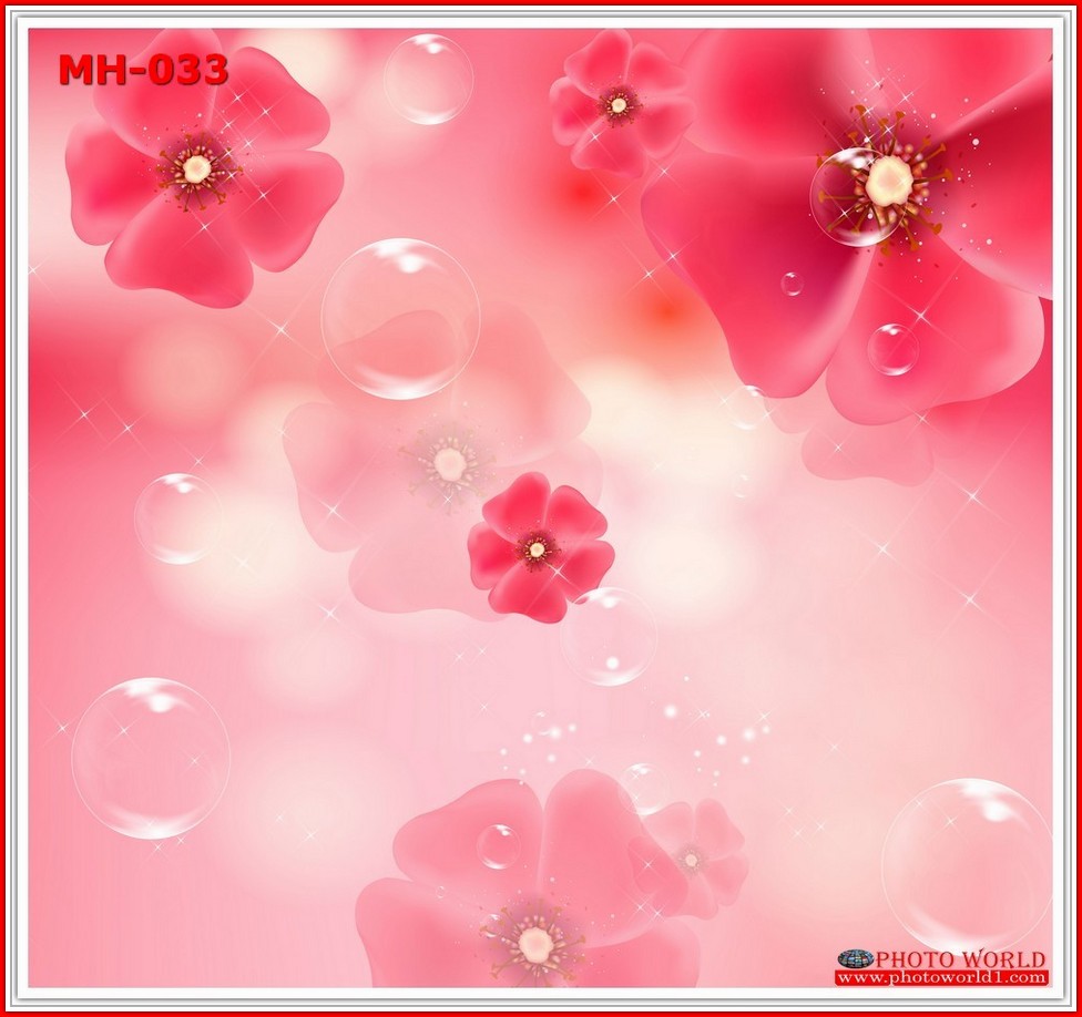 วอลเปเปอร์รูปภาพติดผนังสั่งทำ มีภาพให้เลือกกว่า 50,000 ภาพ ออกแบบกราฟฟิค หรือ รูปภาพตามที่ท่านกำหนด ในสไตล์ท่านเอง "custom made"