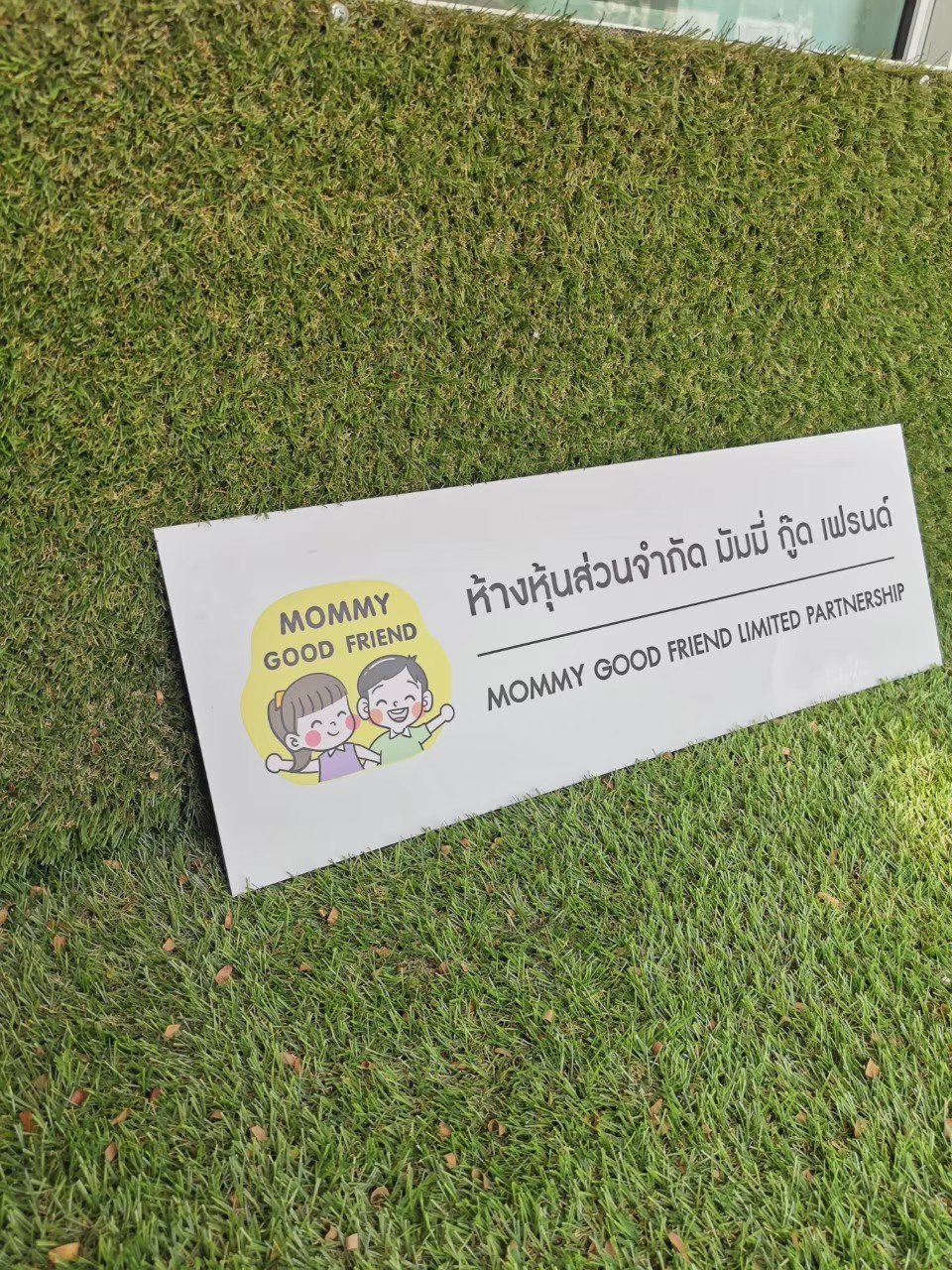 ป้ายสกีน