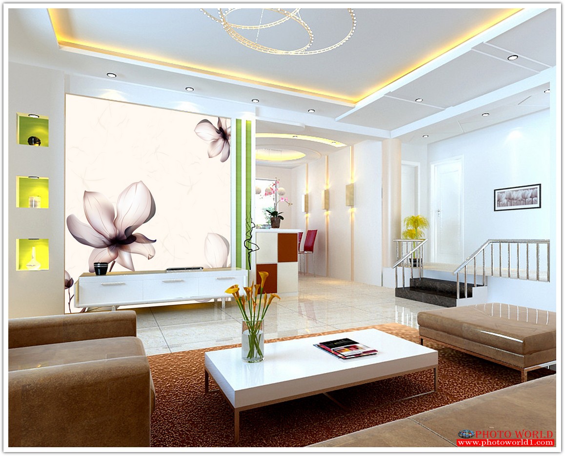 วอลเปเปอร์รูปภาพติดผนังสั่งทำ มีภาพให้เลือกกว่า 50,000 ภาพ ออกแบบกราฟฟิค หรือ รูปภาพตามที่ท่านกำหนด ในสไตล์ท่านเอง "custom made"