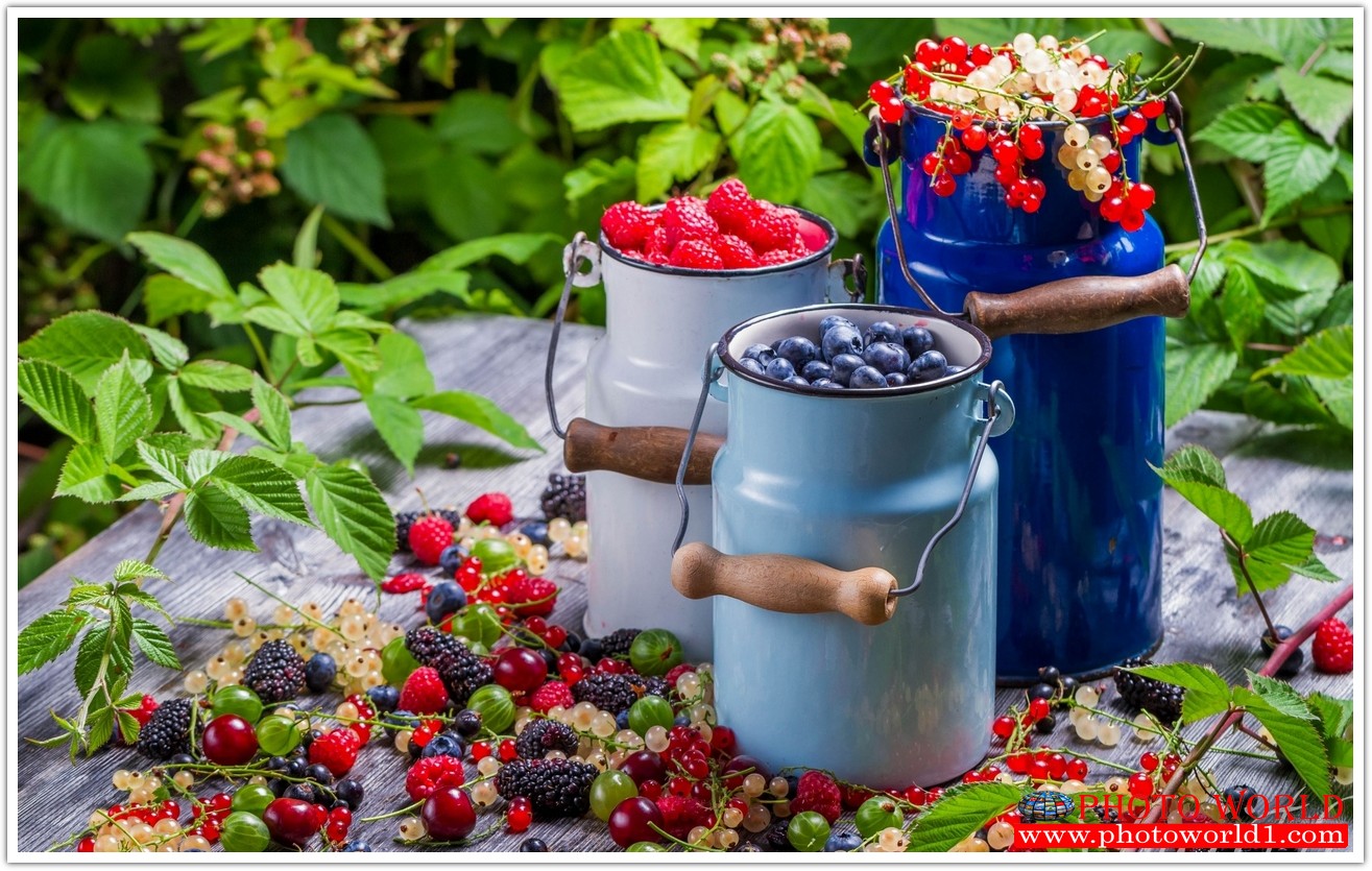 วอลเปเปอร์รูปภาพติดผนังสั่งทำ มีภาพให้เลือกกว่า 50,000 ภาพ ออกแบบกราฟฟิค หรือ รูปภาพตามที่ท่านกำหนด ในสไตล์ท่านเอง "custom made"