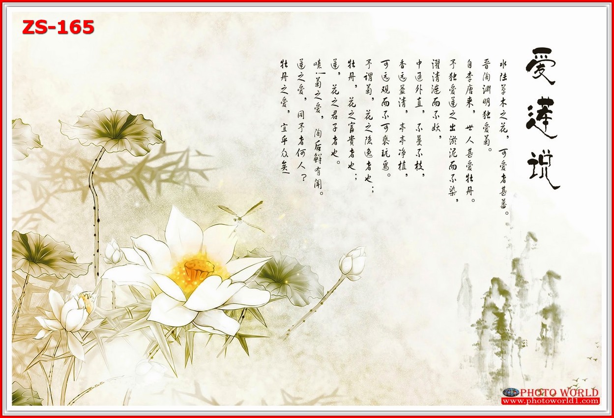 วอลเปเปอร์รูปภาพติดผนังสั่งทำ มีภาพให้เลือกกว่า 50,000 ภาพ ออกแบบกราฟฟิค หรือ รูปภาพตามที่ท่านกำหนด ในสไตล์ท่านเอง "custom made"